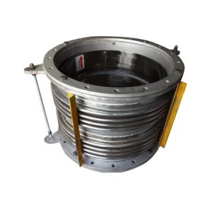 Ss Flexible Expansion Joint Bellows Vadodara